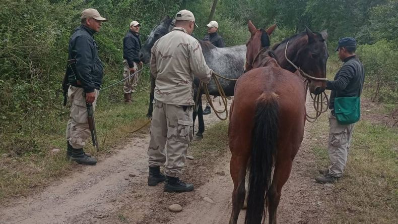 Secuestran ocho caballos sueltos en rutas de El Carmen