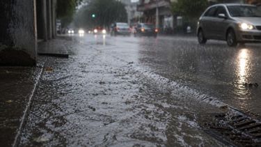 noviembre llegara con lluvias por encima de lo normal en argentina: que pasara en jujuy