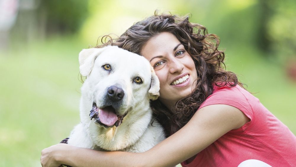 Conocé qué obligaciones genera la nueva ordenanza para tener mascotas