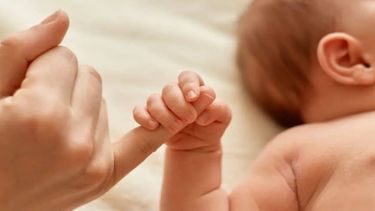 La tasa de natalidad cayó 40% en Argentina y los hogares sin hijos ya son mayoría.  