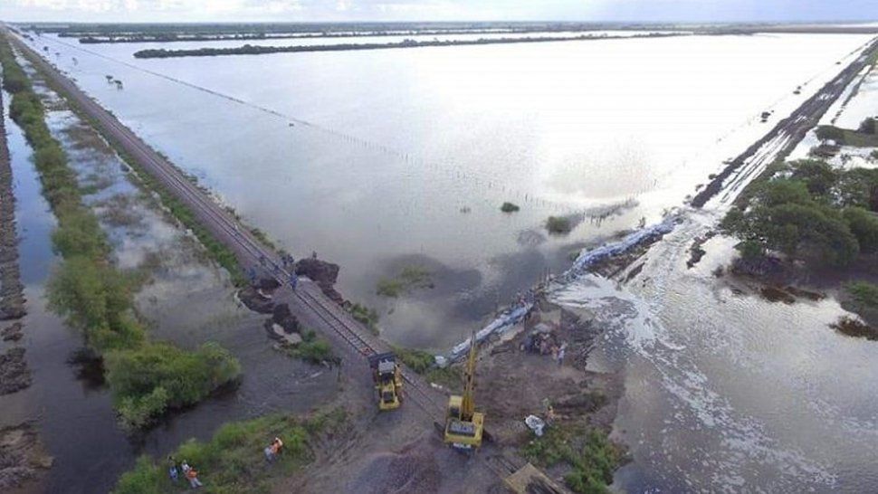 Mientras hay miles de evacuados en Chaco, los desmontes ilegales no paran