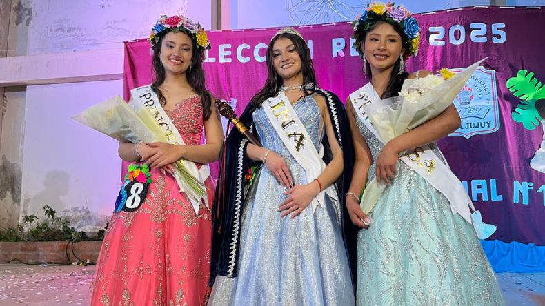 Representante del Bachillerato N° 19