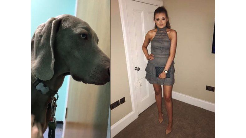 Chloe y su perro