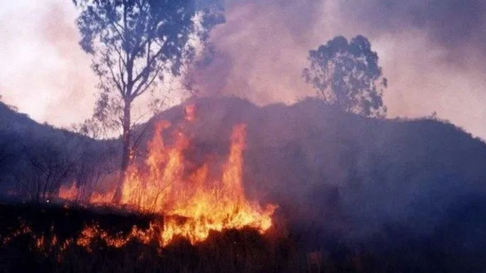 Todo Jujuy | Incendios forestales