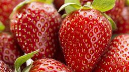 Salieron las primeras frutillas: a cuánto se vende el kilo en Jujuy