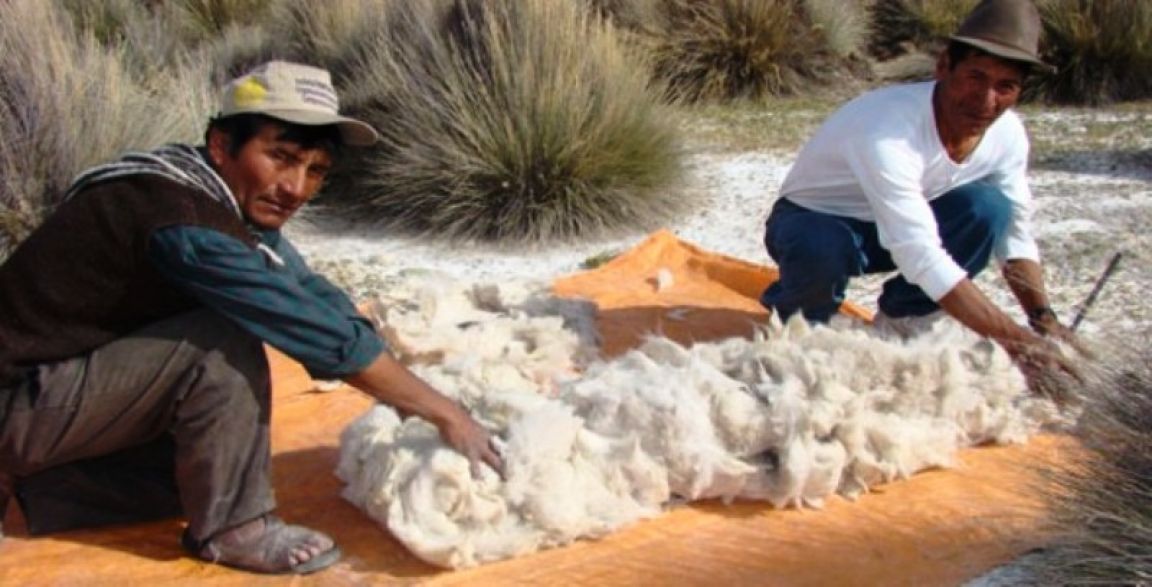 Fibra de llama
