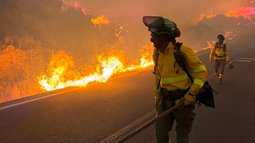 Incendio en España: Los equipos de extinción trabajan en condiciones extremas para frenar el fuego cerca de Los Gallardos que ya ha dejado al menos seis muertos (E112Andalucia)