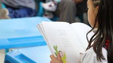 Lectura y desigualdad en Argentina&nbsp; - Imagen alusiva
