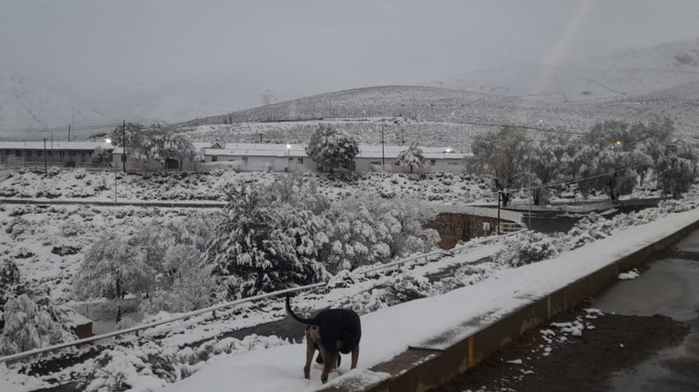Nieve en pleno diciembre en la Puna jujeña