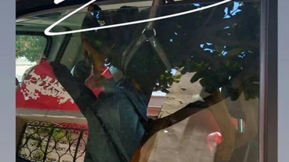 Dejó un perro vivo encerrado y colgado adentro de un auto