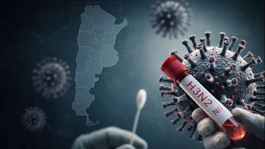 Gripe H3N2 en Argentina - Imagen creada con IA