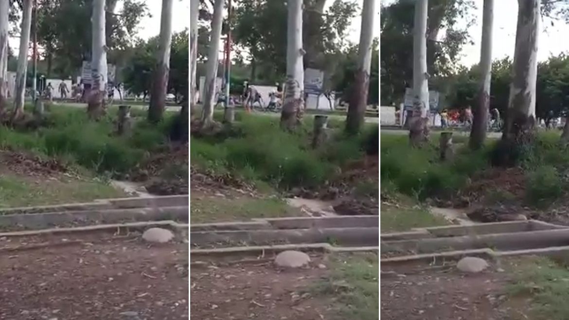 Todo Jujuy | Pelea callejera.jpg