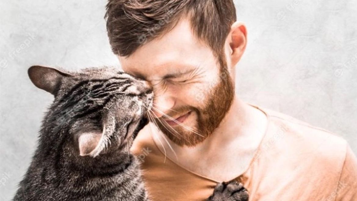 Mascotas: ¿qué significa que tu gato te lama constantemente?