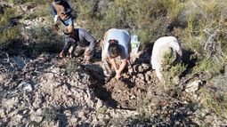 Río Negro: encontraron un fósil de 8500 años en General Conesa.&nbsp;