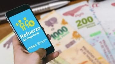 IFE 5 de ANSES: ¿Por qué el sistema puede rechazar la solicitud?