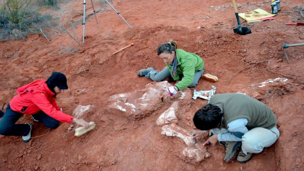 Descubrieron en San Juan al dinosaurio gigante más antiguo de que se tenga registro