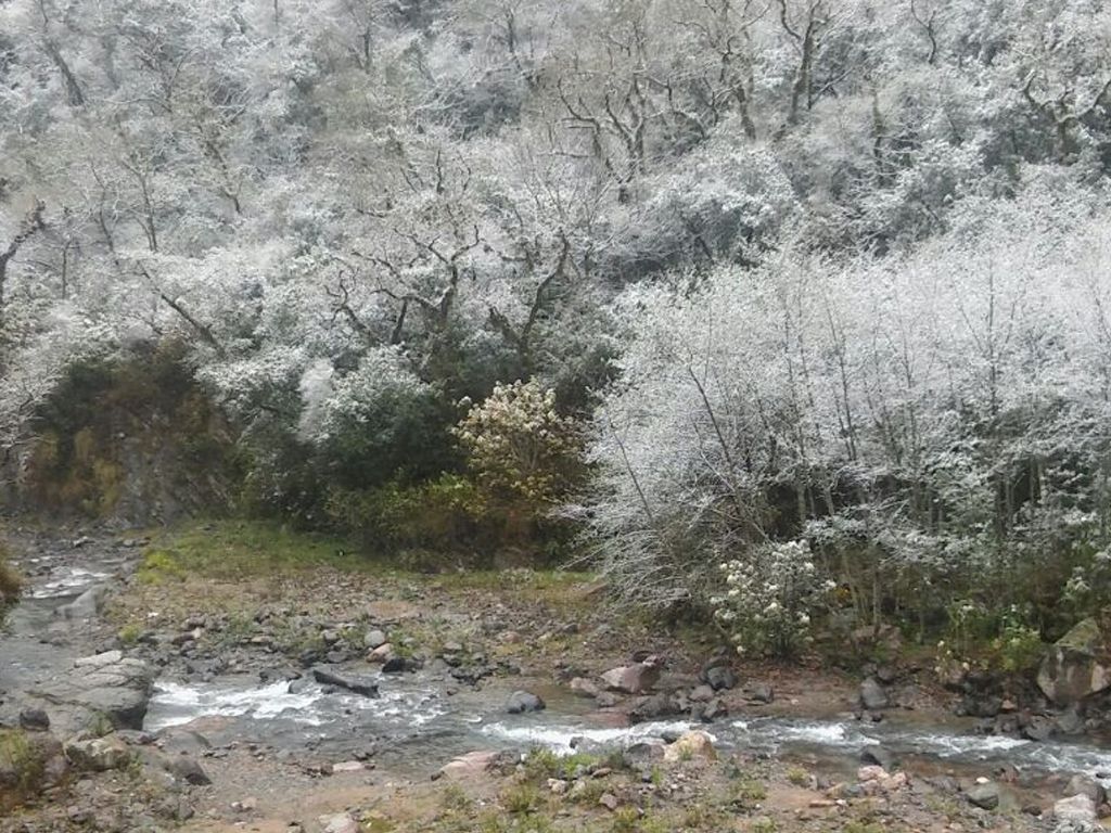 Nieve en Yala