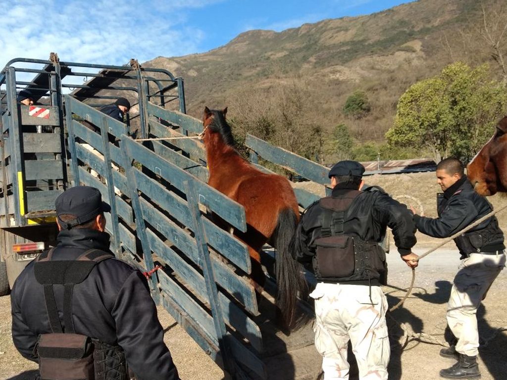 Operativos de control