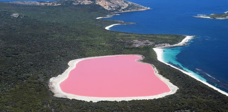 Impactantes imágenes de lagunas rosas en el mundo&nbsp;