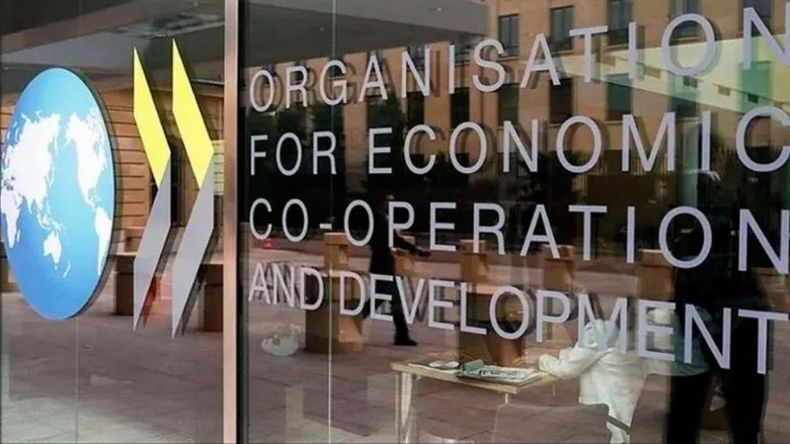 La OCDE advirtió por la desaceleración que registrará el crecimiento mundial durante el 2023.&nbsp;