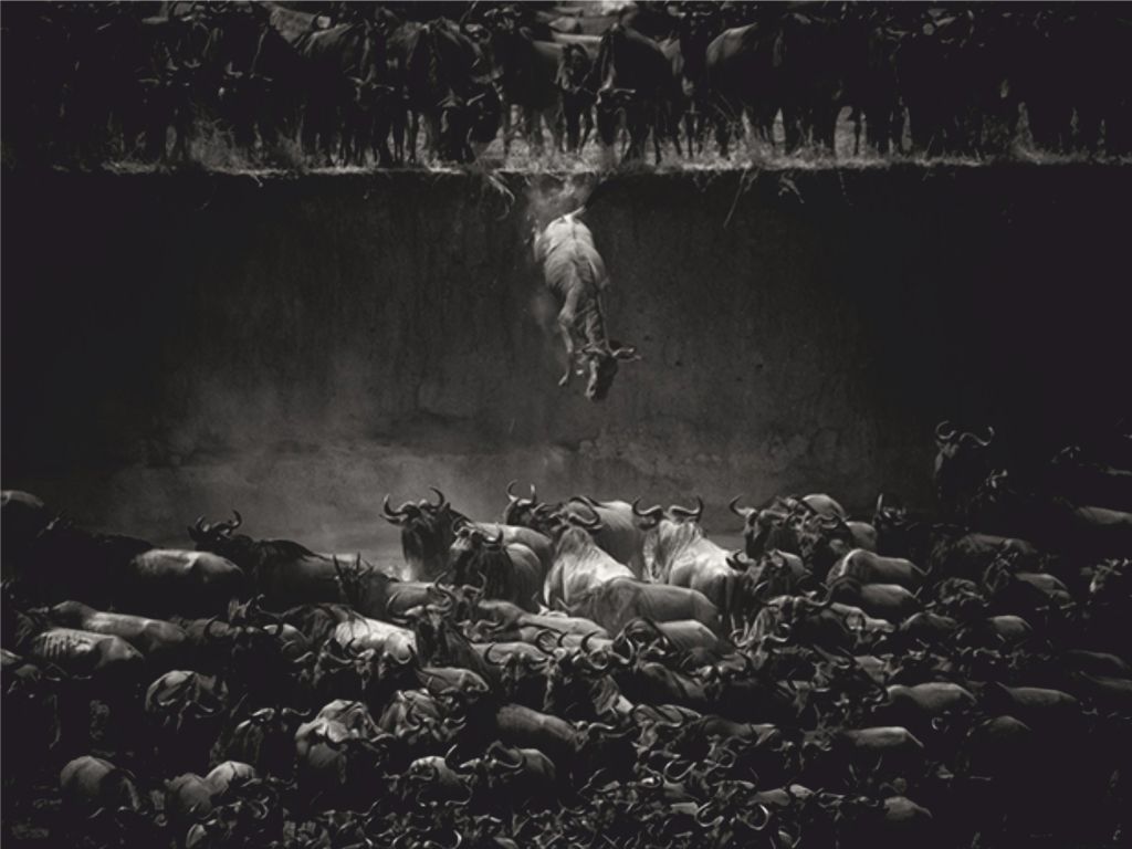 Ganadora de la categoría naturaleza