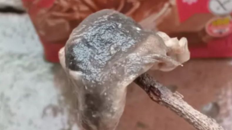 Perico: una mujer denunció que encontró una rata muerta dentro de una caja de chocolatada