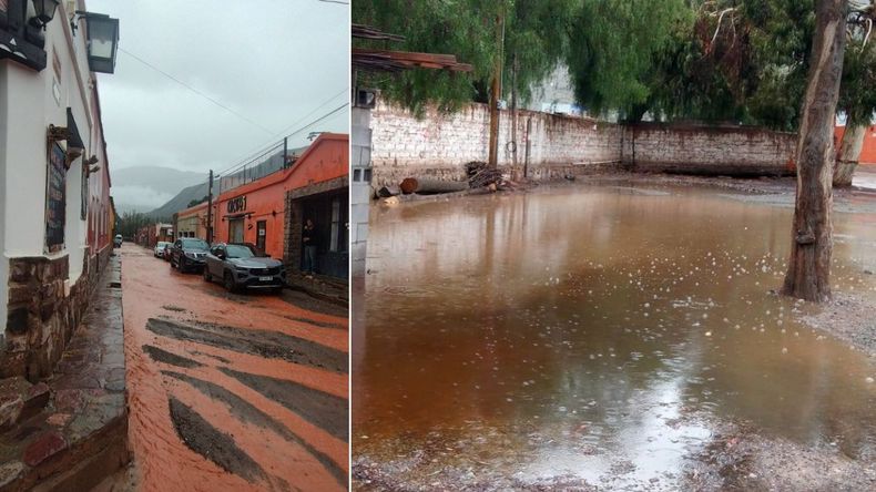 Foto: Ricardo Tabarcachi