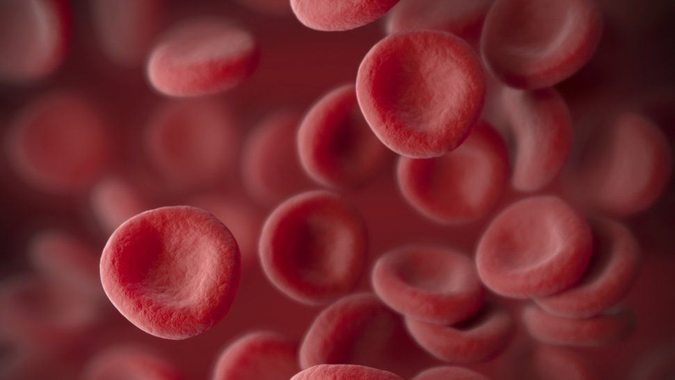 Llegó al país una nueva droga que triplica la sobrevida en pacientes con leucemia