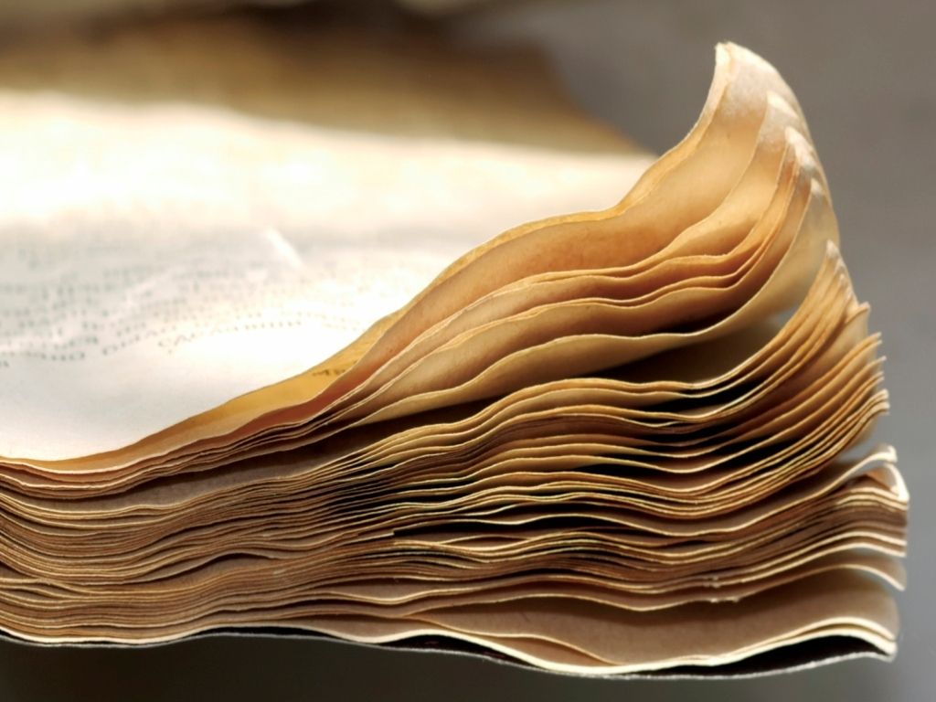Libro mojado