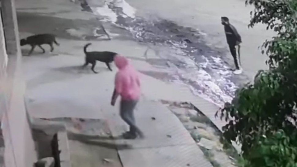 terrible robo a una mujer en alto comedero