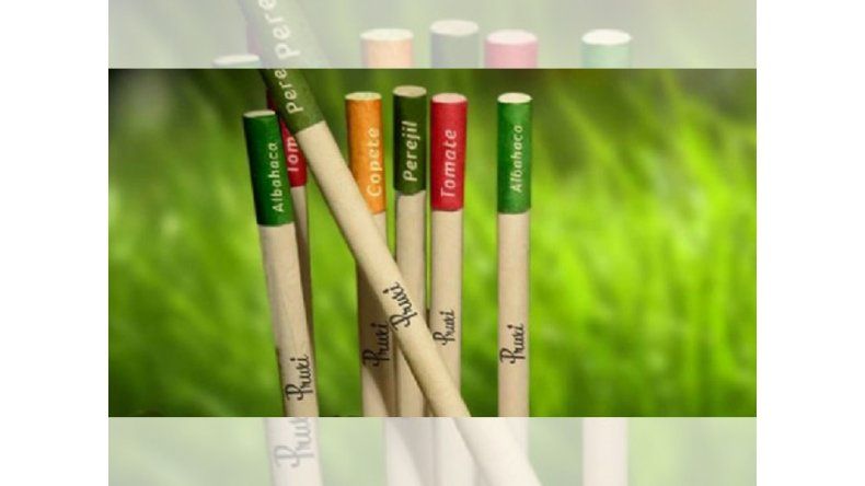 Lapices ecológicos