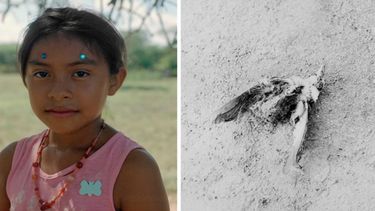 La serie se centra en los Wayuus, una población indígena de La Guajira, el desierto costero de Colombia.