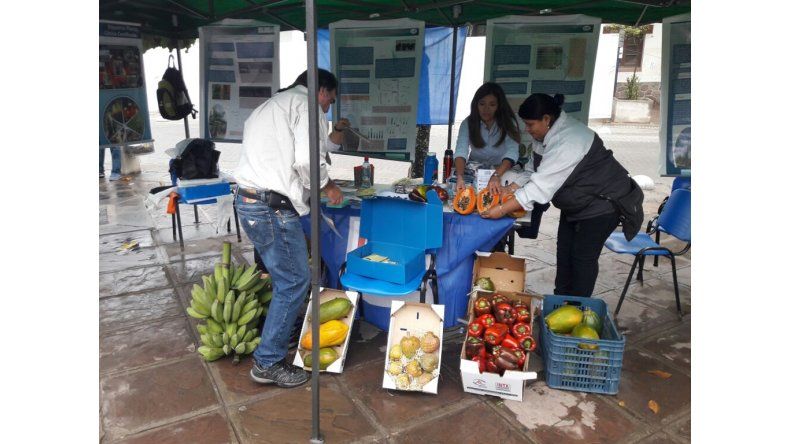 INTA, en alerta por posibles despidos y la baja del presupuesto