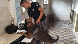 Habilitaron la Sección Perros en Calilegua