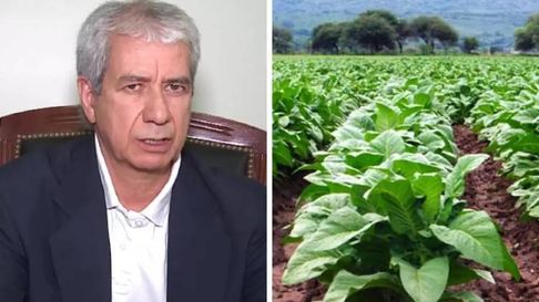Todo Jujuy | Pedro Pascuttini y el tabaco en la Ley Bases