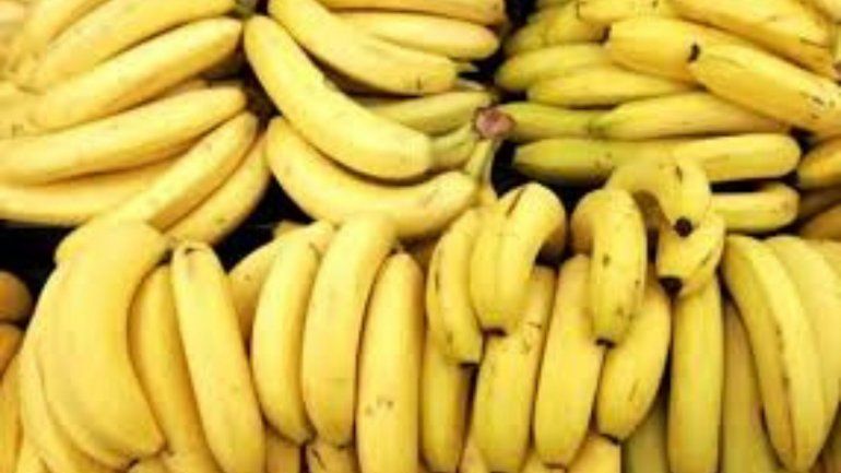 Bananas - Foto de archivo | Todo Jujuy Bananas - Foto de archivo | Todo Jujuy