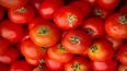El truco casero mantener el tomate fresco por más tiempo afuera de la heladera.