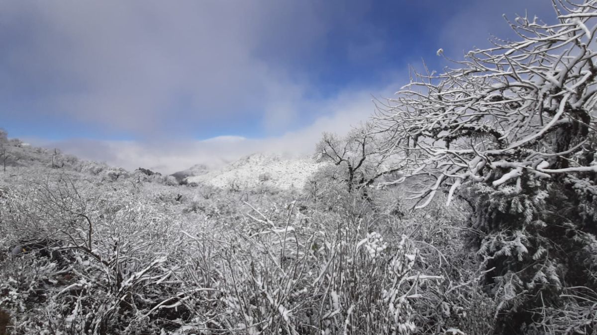 El sábado podría nevar en Jujuy.