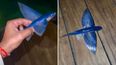 Intentó devolver un pez volador al mar pero el resultado inesperado fue tendencia viral. &nbsp;