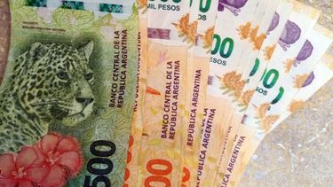 Bono de $50.000 de ANSES: ¿Quiénes no pueden cobrarlo?