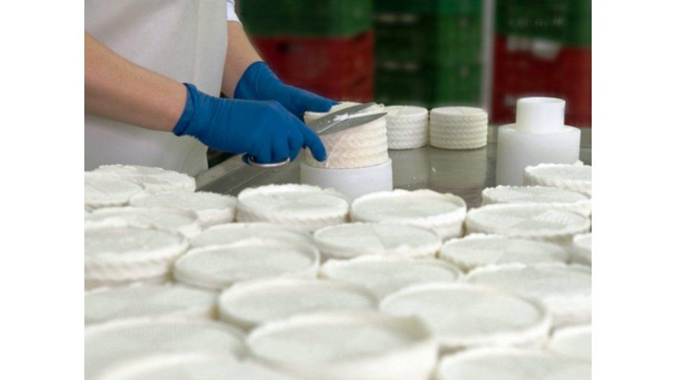 Tecnicatura en Producción Lechera