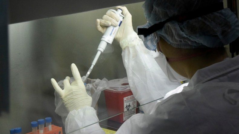 Confirman 11 nuevas muertes y 172 nuevos casos en las últimas 24 horas