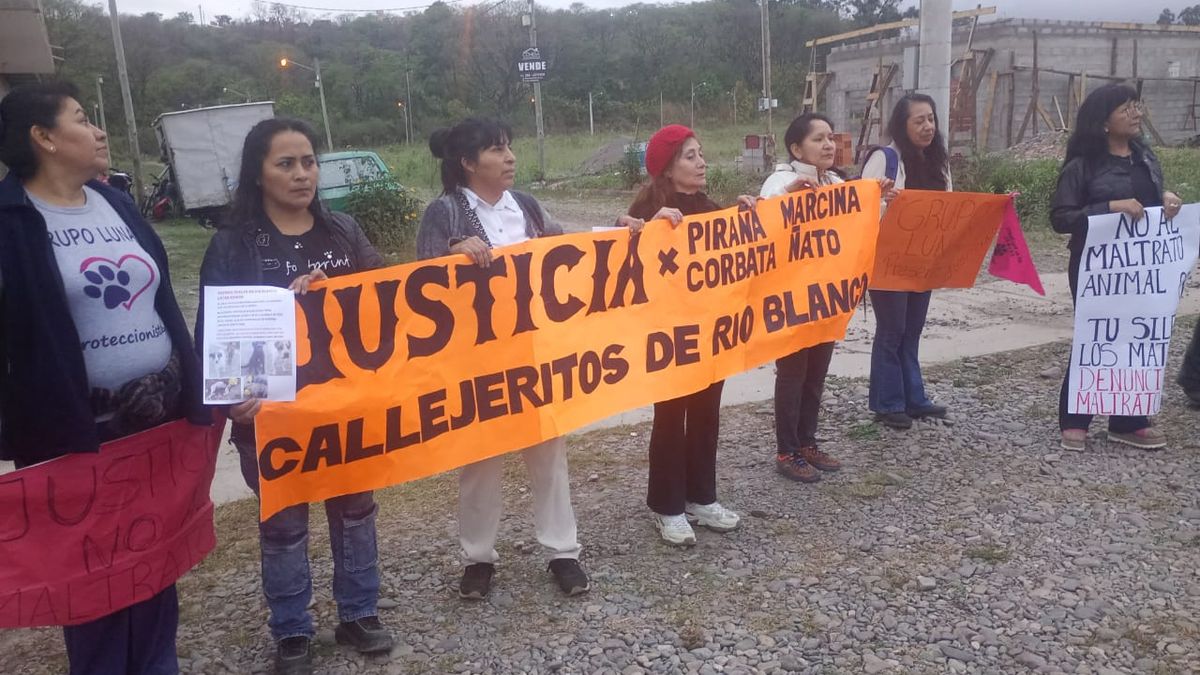 Marcharon en Río Blanco por la matanza de perros que habrían sido envenenados