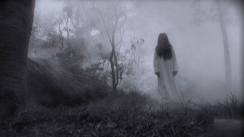 La llorona apareció en la ruta de Güemes