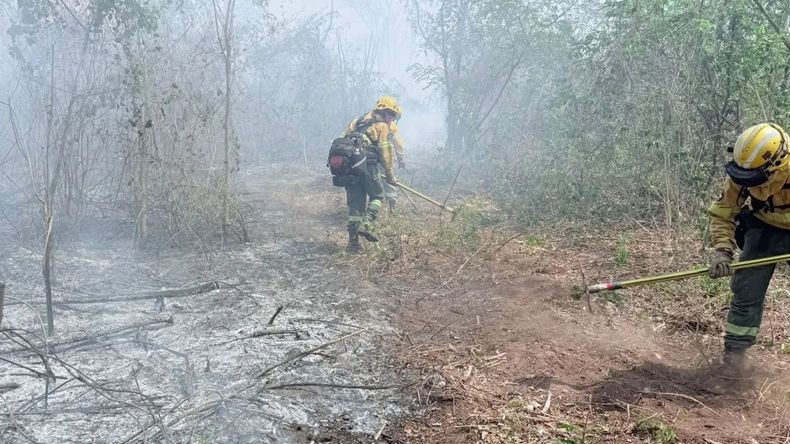 Los incendios en Ledesma afectaron a más de 1500 hectáreas