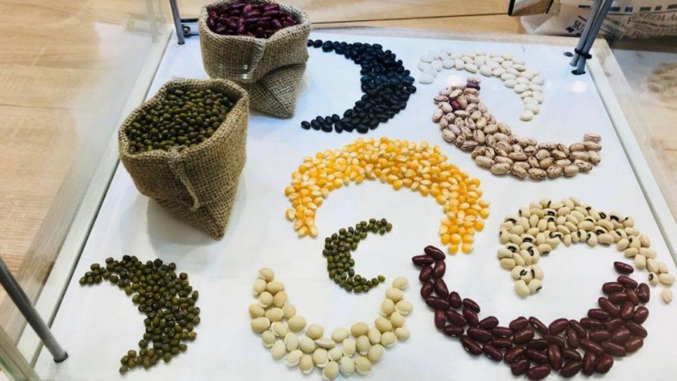 Una familia jujeña se abre al mercado internacional con un proyecto de carne vegetal