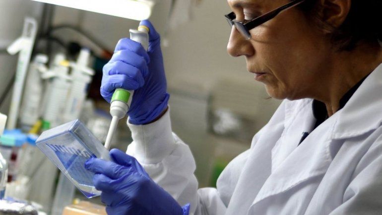 Vacuna contra el coronavirus&nbsp;