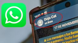 El estado en línea se puede eliminar de WhatsApp.