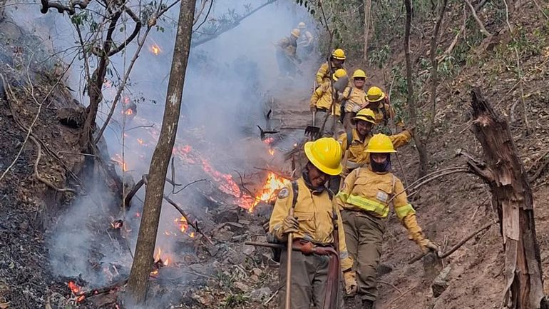 375 incendios en Jujuy desde julio