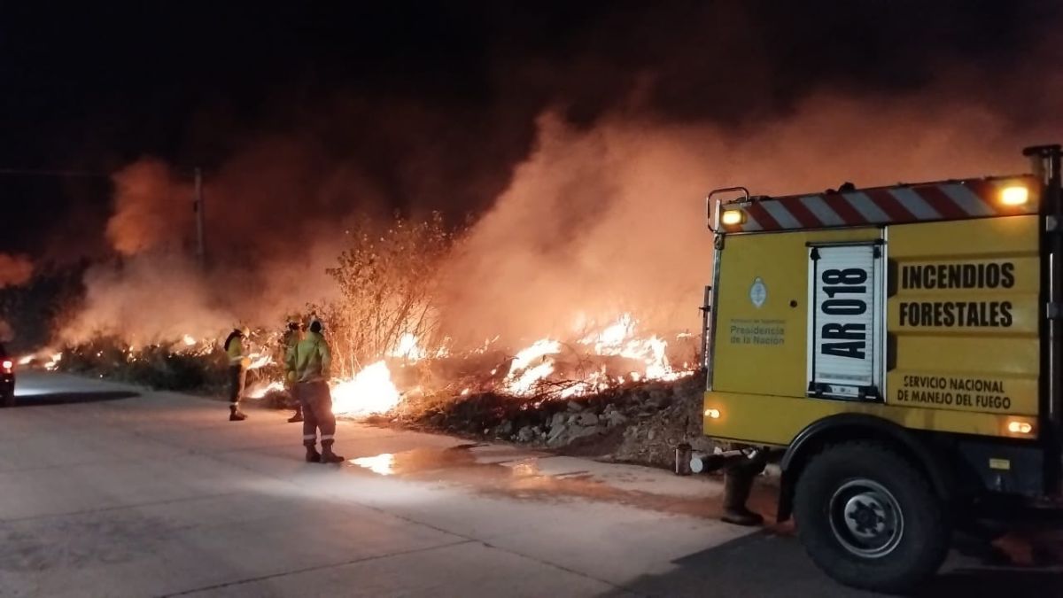 Incendios forestales: entre ayer y hoy se quemaron 40has